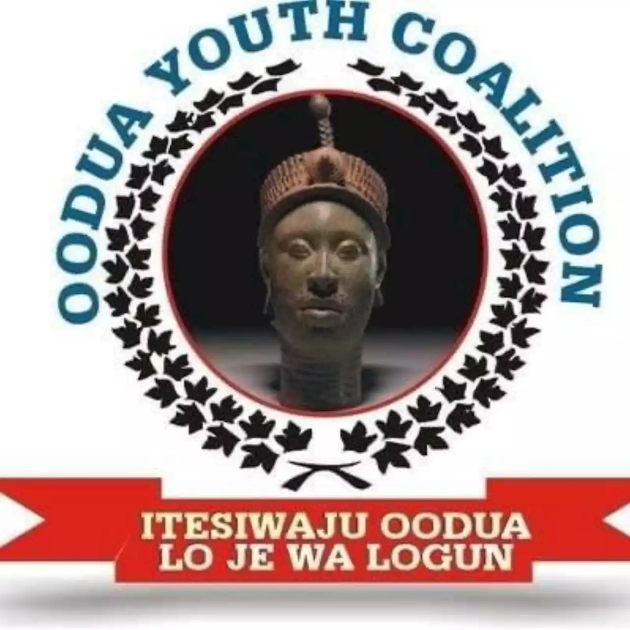 ASUU strike: We'll join students to ground airports - South West youths