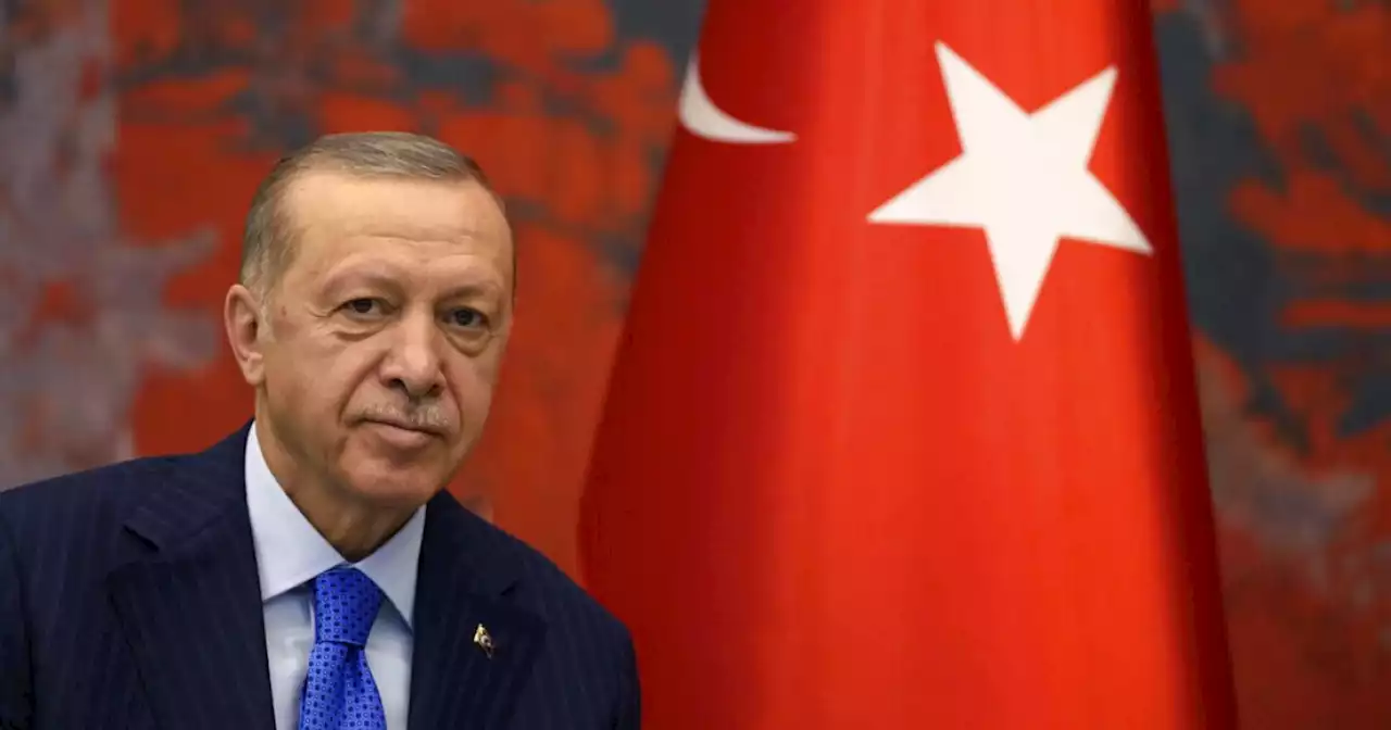 American Jewish leaders help Turkey's Erdogan to launder his image