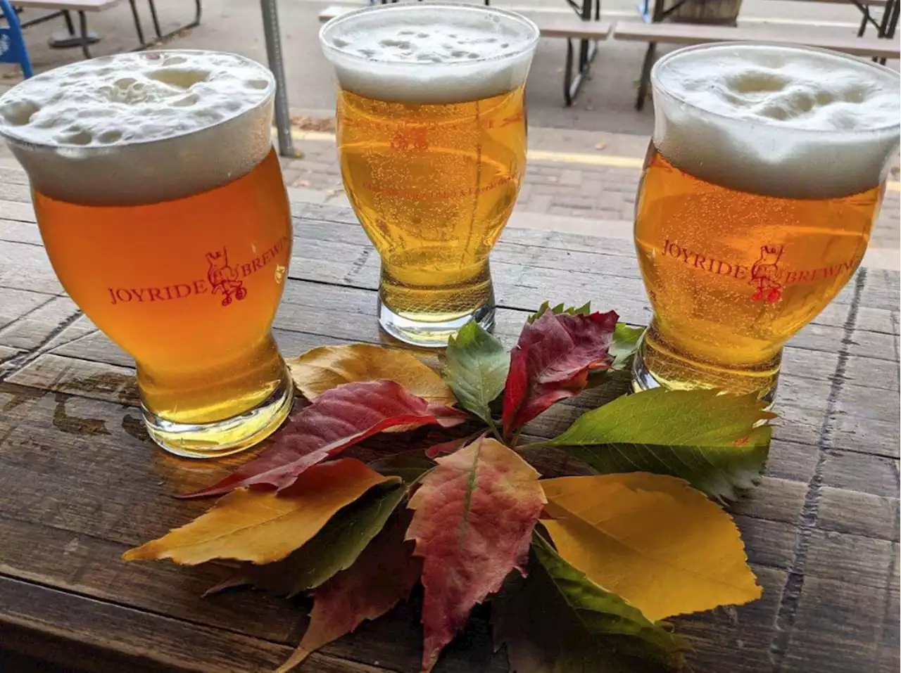 Joyride's Fresh Hop Fest is Back on September 24