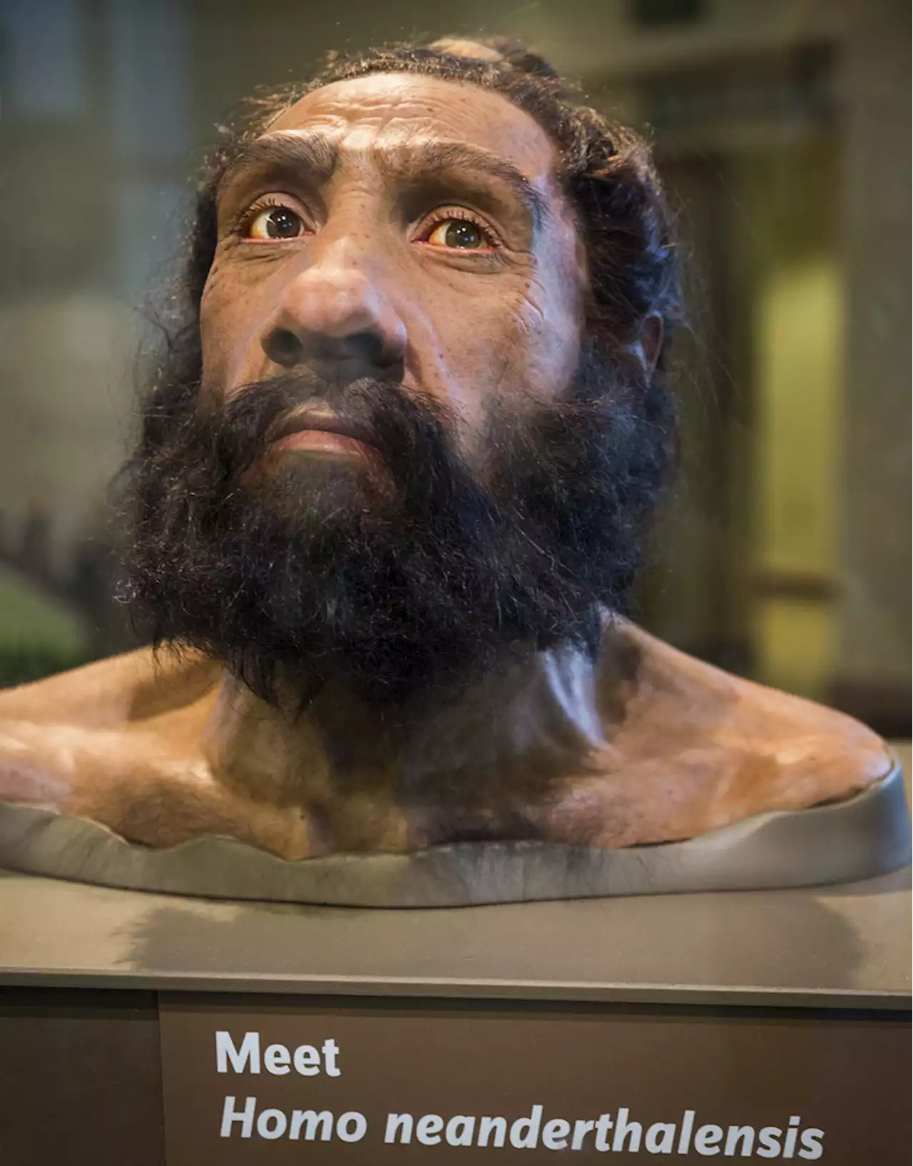 Forensic Anthropology Expands the View on Human-Neanderthal Interbreeding