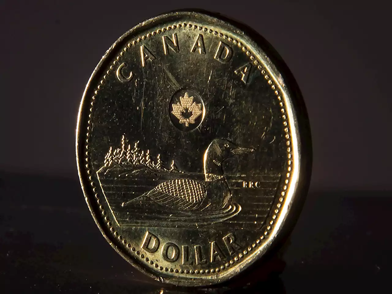 Loonie sinks to two-year low ahead of inflation data and Fed rate decision