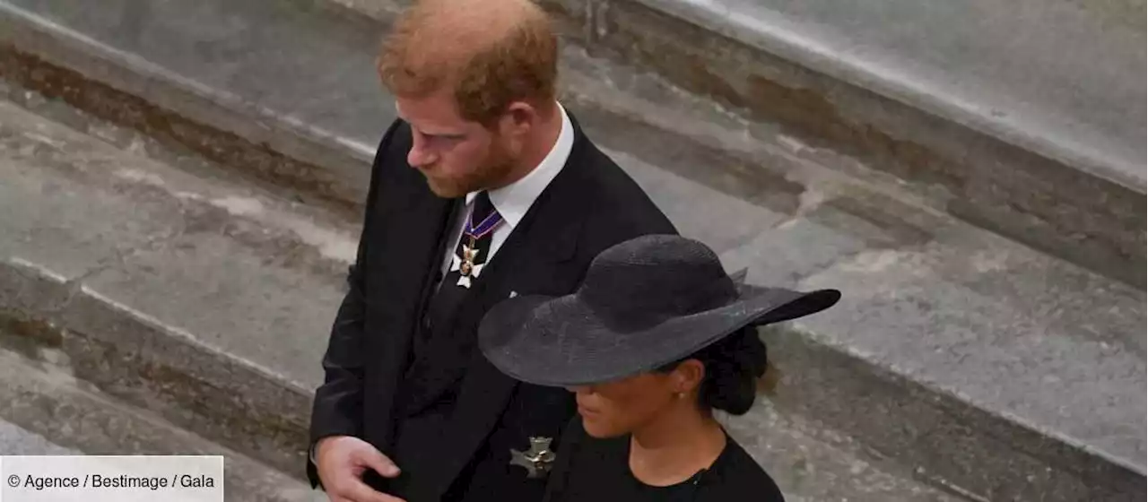 Funérailles d’Elizabeth II : Meghan et Harry, leur nouveau geste d’affection remarqué - Gala