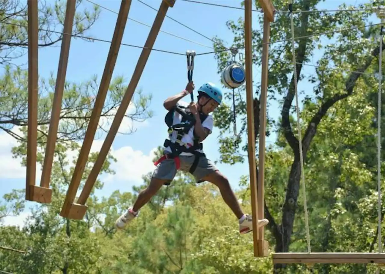 Your new family adventure: tree-climbing — at night