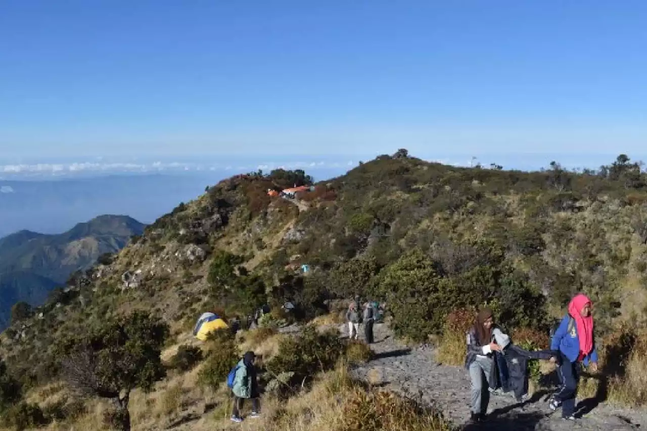 Geger, Warga Lereng Gunung Lawu Diduga Temukan Kerangka Manusia