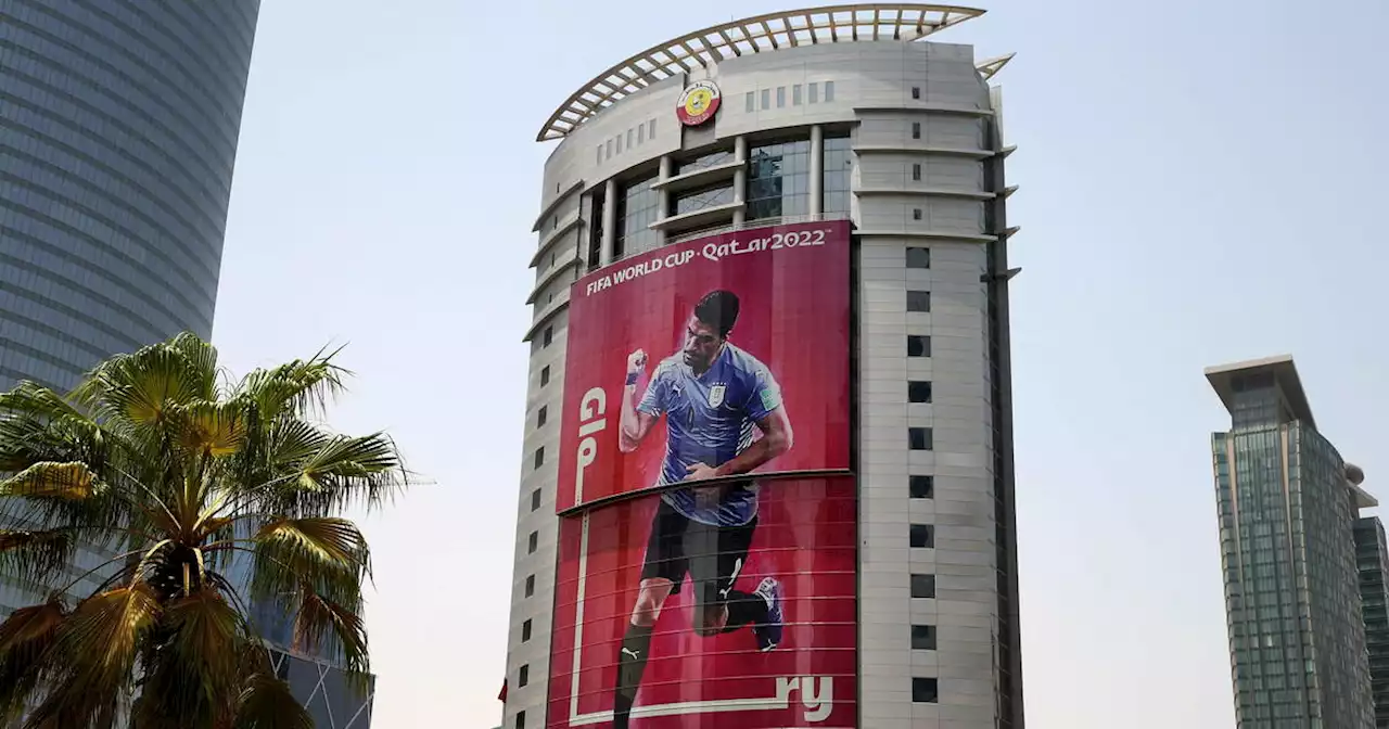 Coupe du monde au Qatar: le dilemme des supporteurs français