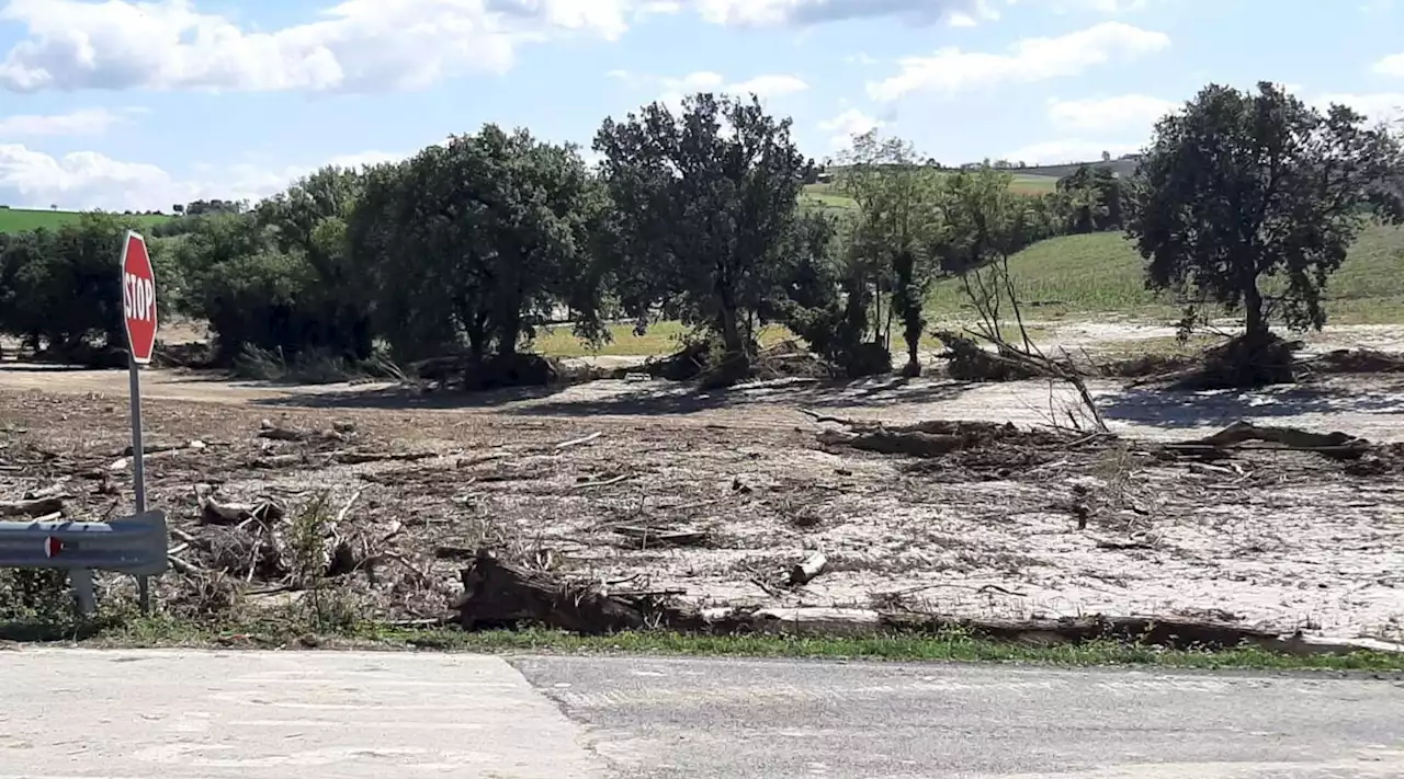 Alluvione Marche, ritrovato lo zainetto scolastico del piccolo Mattia