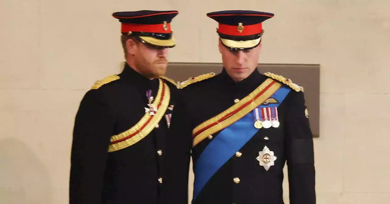 Prince Harry and William's former press secretary says brothers have 'deep rift'