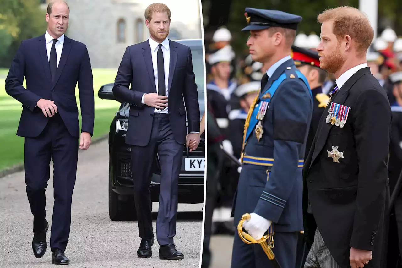 Prince Harry wants people to ‘stop talking’ about William feud, ‘focus on’ Queen