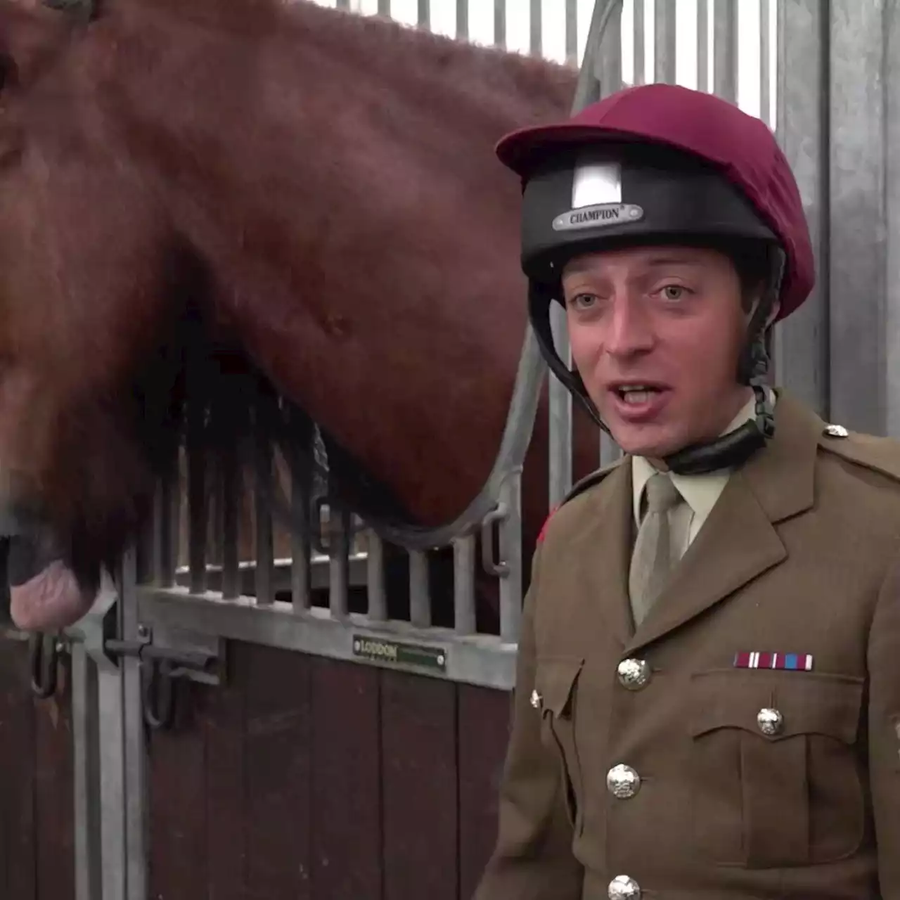 800kg 'gentle giant' horse known as Apollo takes part in Queen's funeral