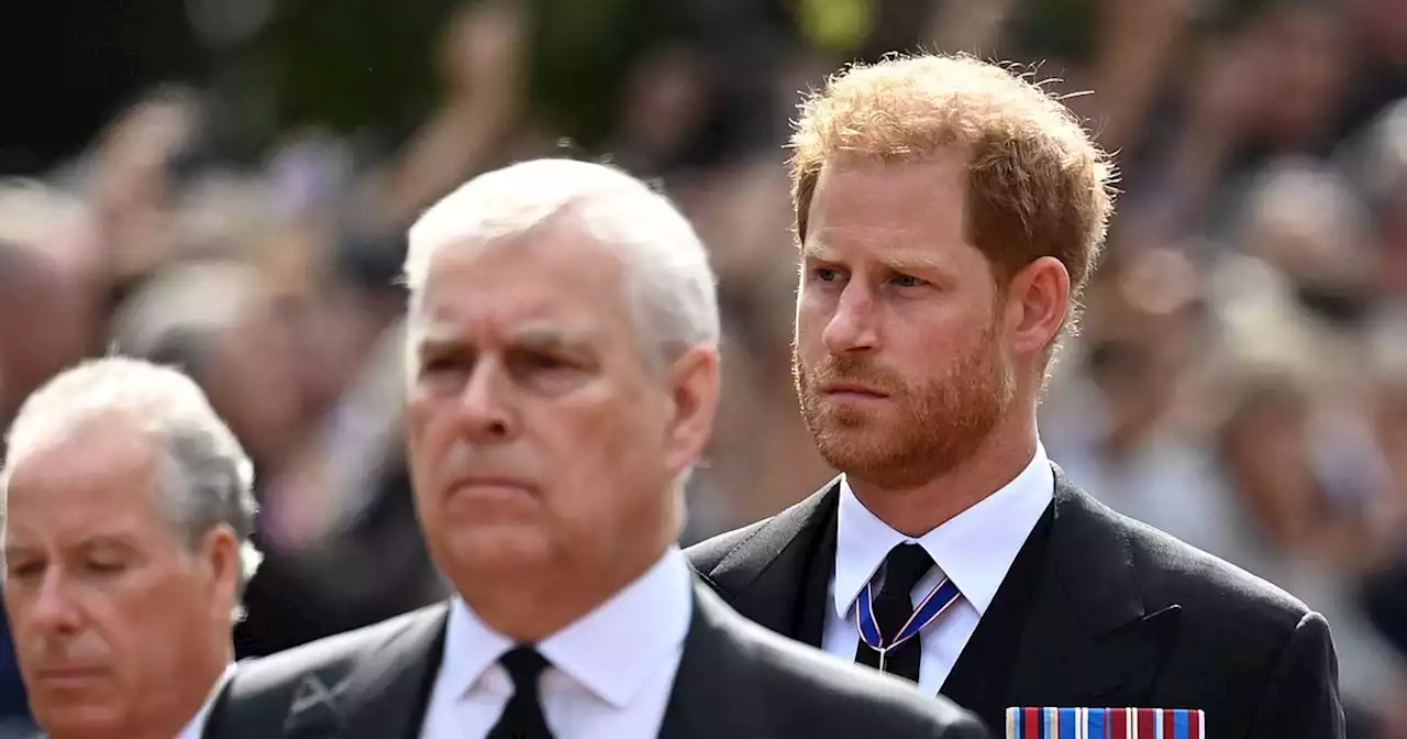 Prince Harry and Andrew could be stripped of key role as King 'plans law change'