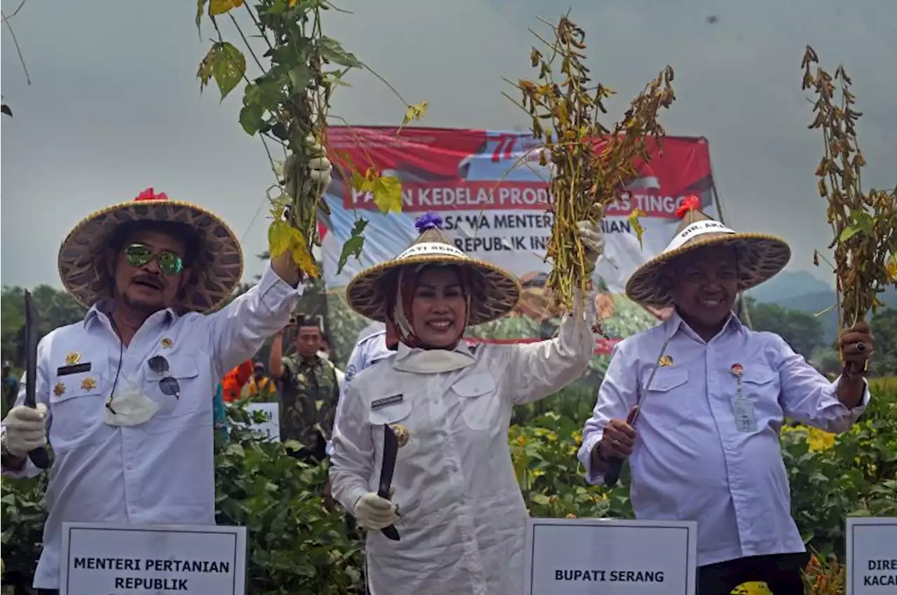 Mentan Siap Laksanakan Perintah Presiden, Tanam Kedelai dan Perbesar Produksi Hortikultura |Republika Online