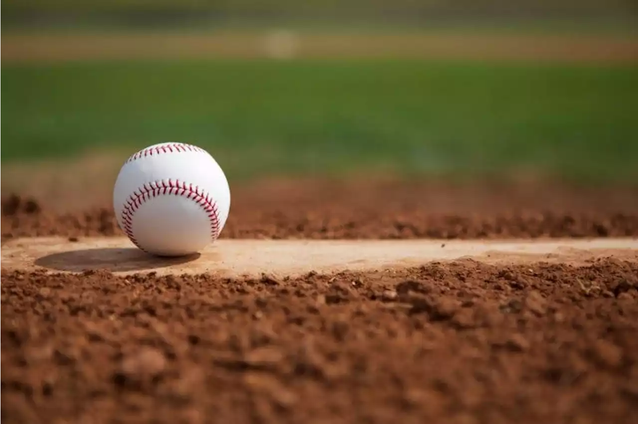 P.E.I. teams win medals at regional 13U baseball ch'ship | SaltWire