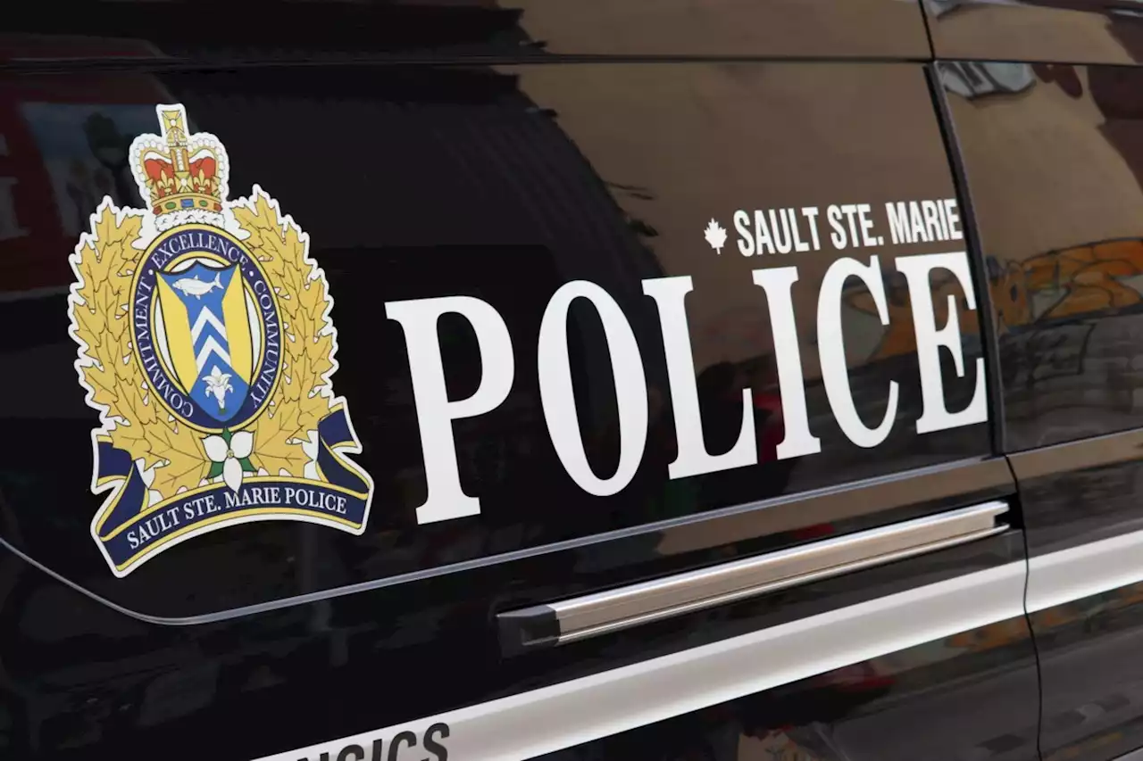 Collision leads to vehicle theft charges