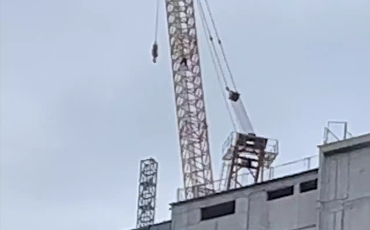 Three People Spotted Climbing Toronto Crane, Taking Pictures: Police