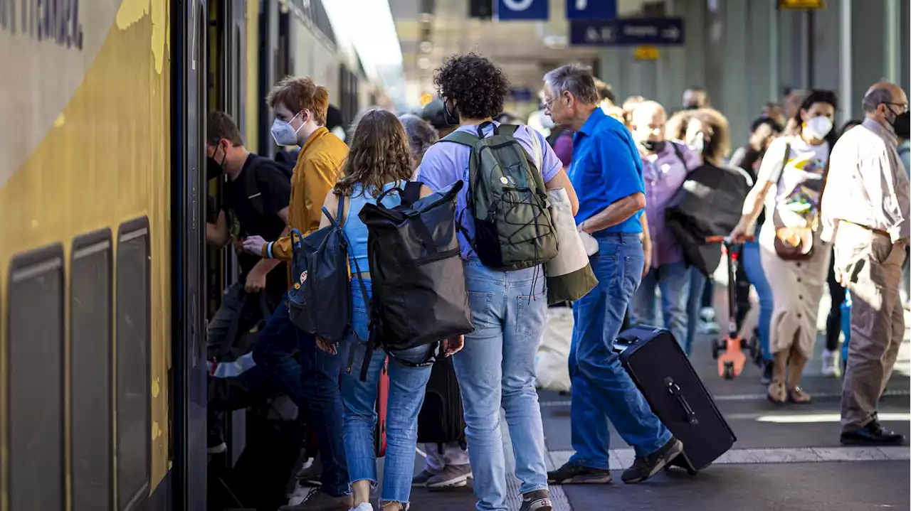 Finanzierung weiter unklar: Nachfolger für Neun-Euro-Ticket wohl ab Januar