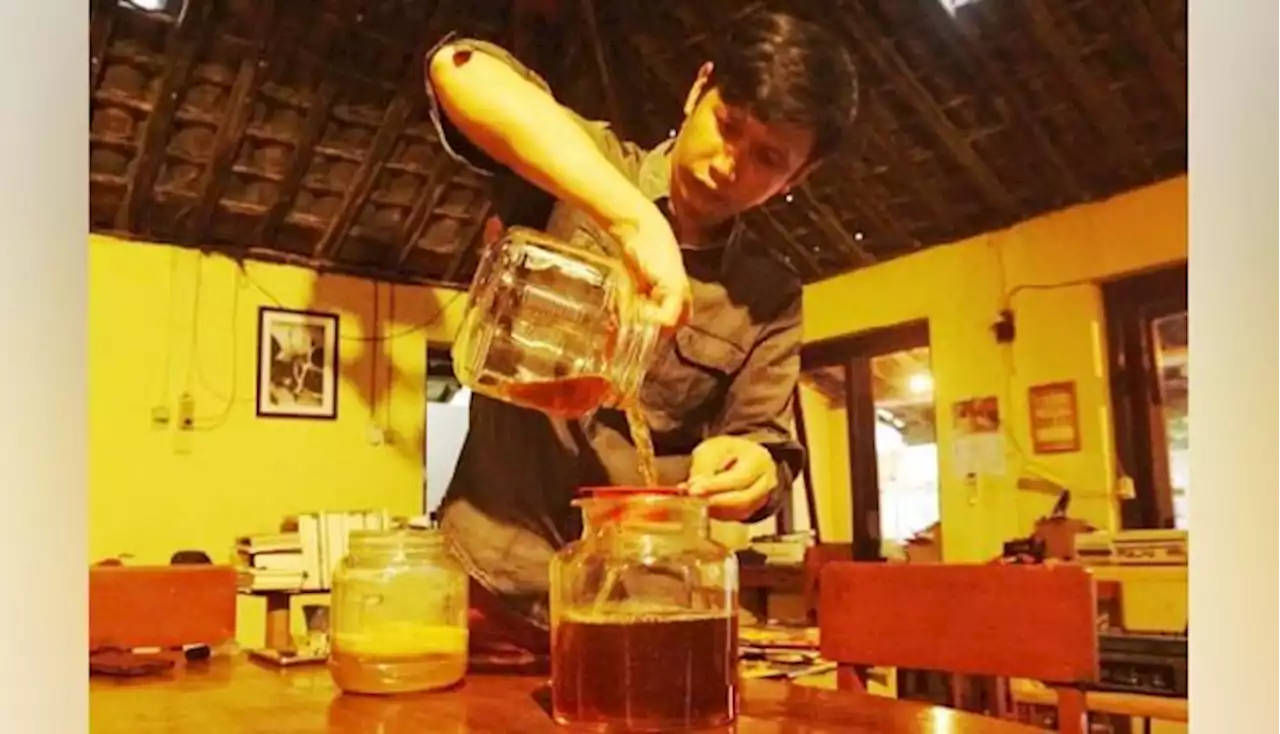 Cara Membuat Teh Kombucha, Teh Jamur Banyak Manfaat Kesehatan