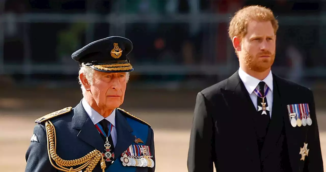 What Is Going On Between Prince Harry and King Charles?