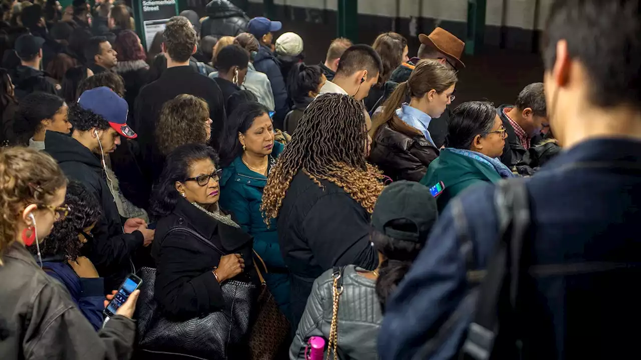 MTA Announces Train Delayed Due To The Beautiful Randomness Of Life