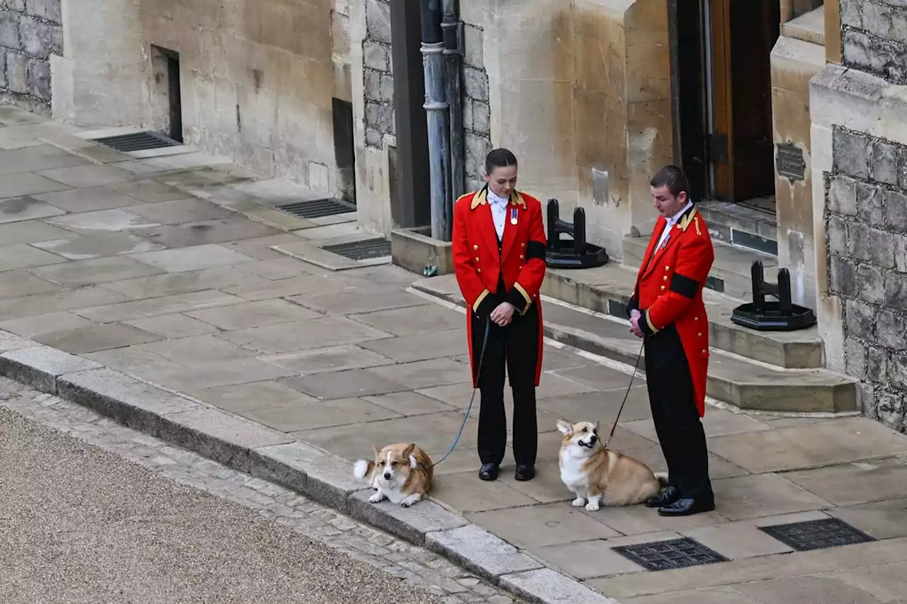 Queen Elizabeth II’s funeral: Hearse carrying Queen Elizabeth II’s coffin has arrived at Windsor Castle