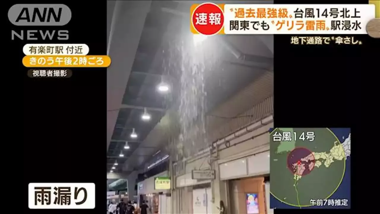 台風14号 関東でも ゲリラ雷雨 地下通路で 傘差し ディズニー 停電stop ニュース テレビ朝日