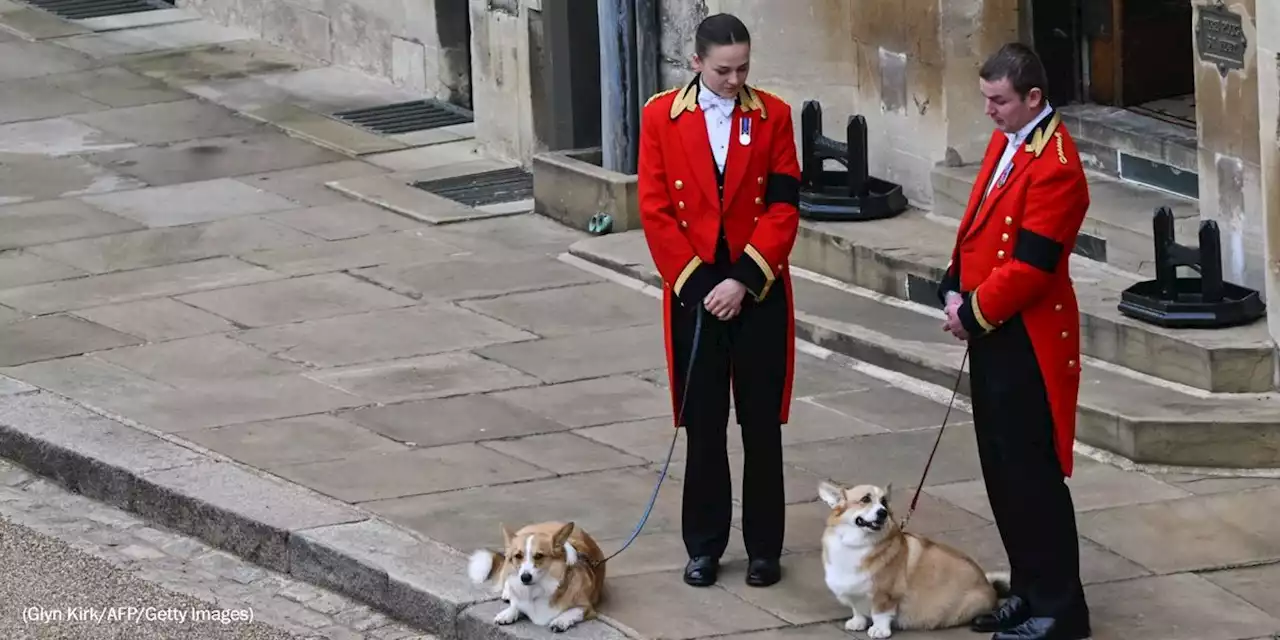 Queen Elizabeth II funeral live updates: Service held at Windsor