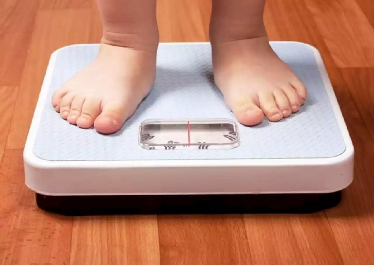 'Escalating' numbers of overweight children in North Yorkshire after scheme to help diet axed