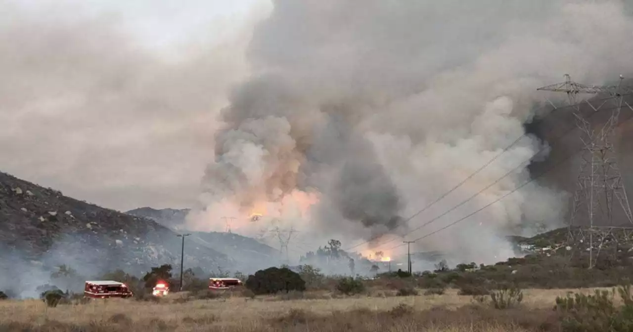 SD County Animal Services rescues over 100 animals following Border 32 Fire