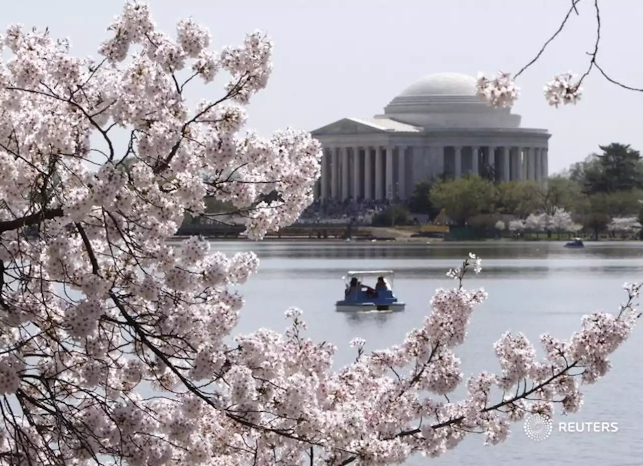D.C. will do just fine even if America doesn’t