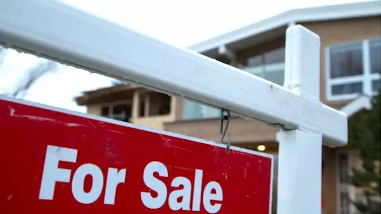 Home prices decline again but remain higher than last year, real estate board says | CBC News