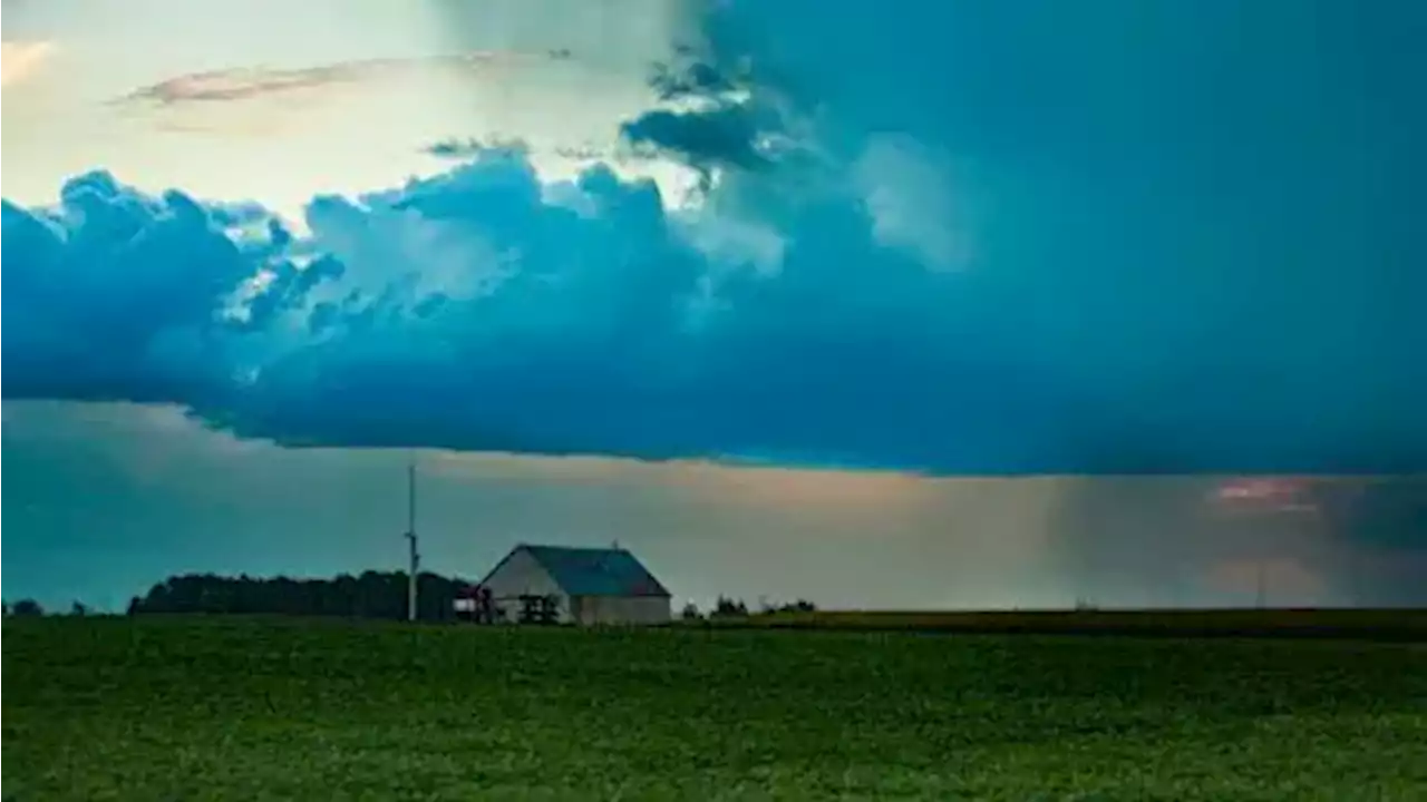 Weak tornado confirmed near Carleton Place | CBC News