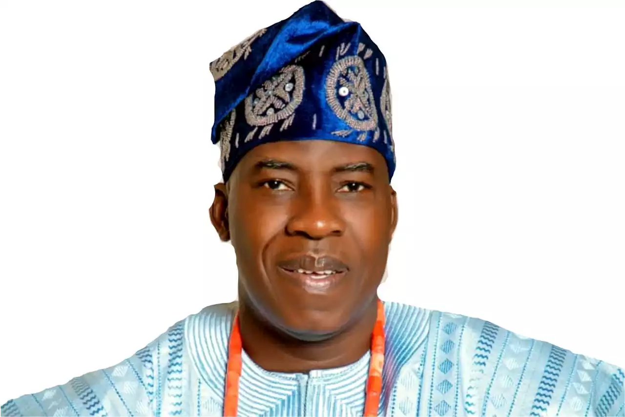 My alleged expulsion from PDP, move by jesters, mere ruse - Dotun Babayemi