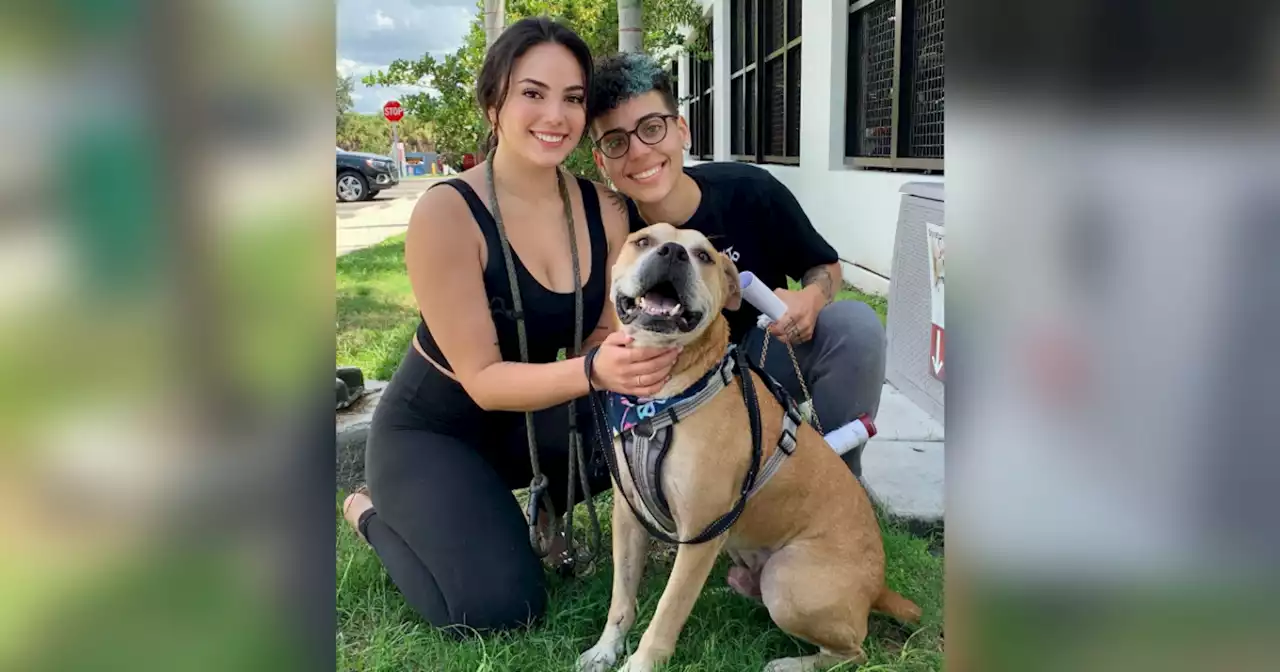 Florida couple reunited with their dog after more than 2 years