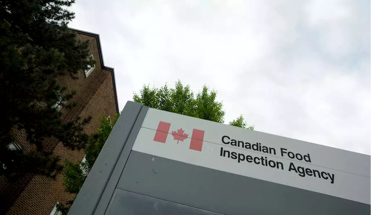 Spice linked to food poisoning investigation in Ontario