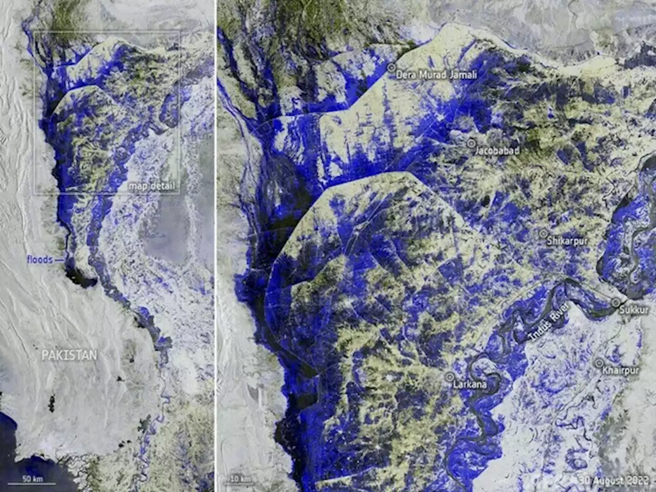 パキスタン洪水、雨量は平年の10倍 インダス川が「湖」に - トピックス｜Infoseekニュース