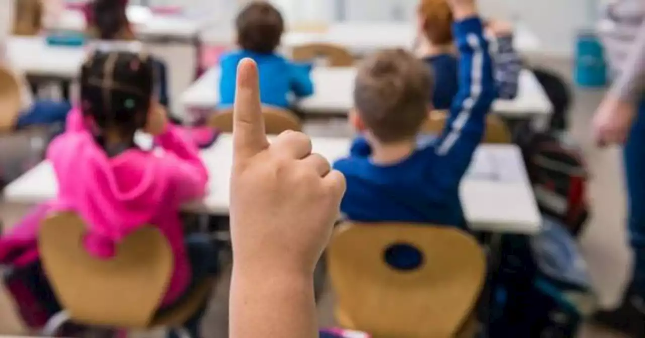 HSE working to recruit more therapists for schools - Rabbitte