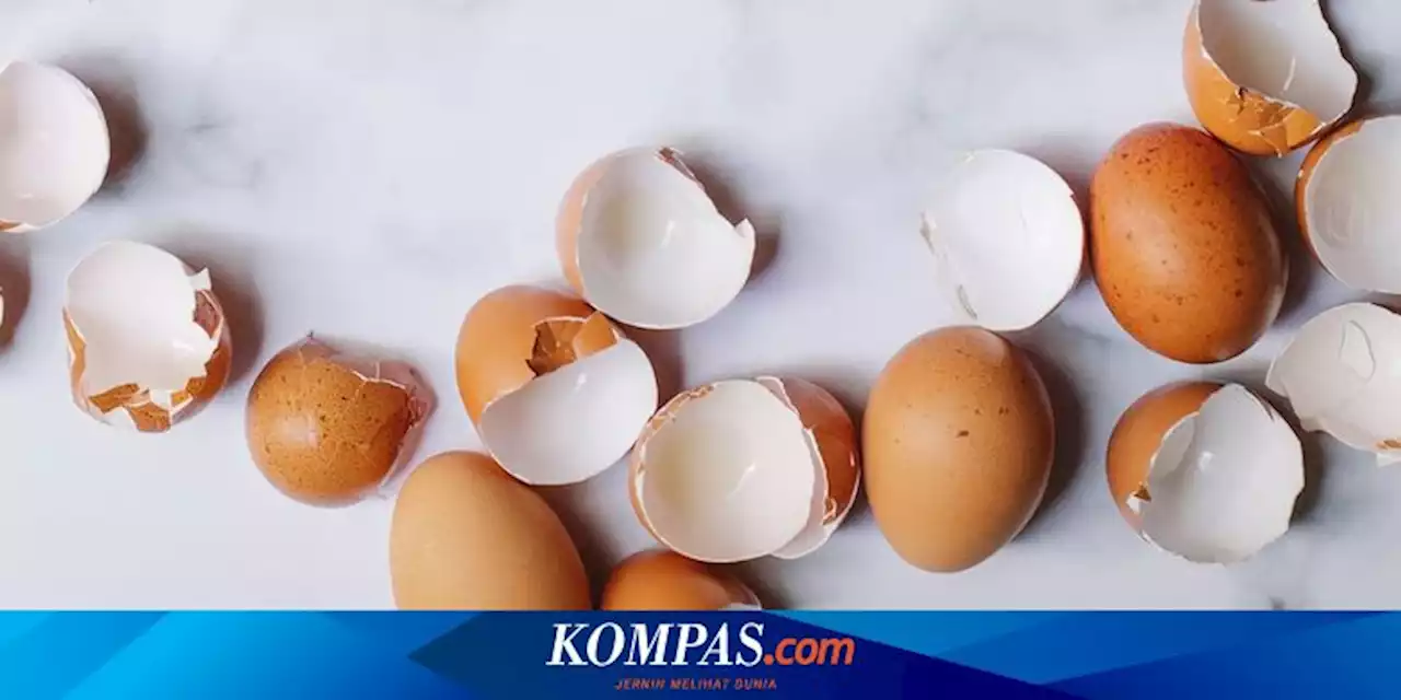 6 Cara Menggunakan Cangkang Telur untuk Tanaman agar Sehat dan Subur