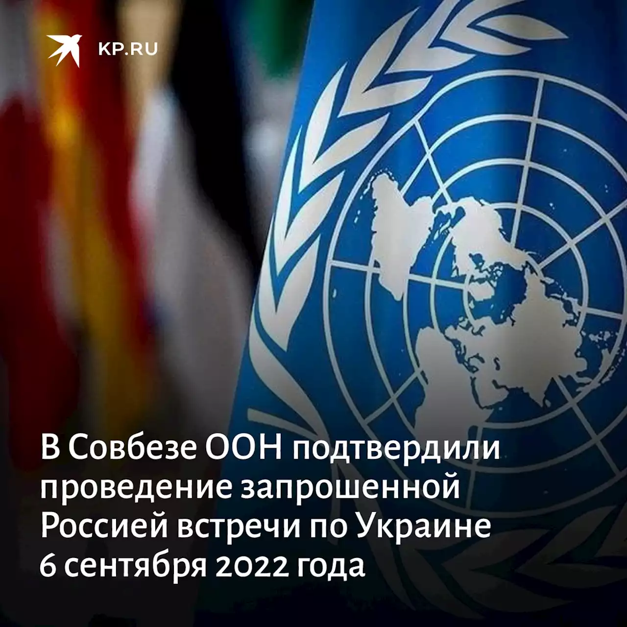 В Совбезе ООН подтвердили проведение запрошенной Россией встречи по Украине 6 сентября 2022 года