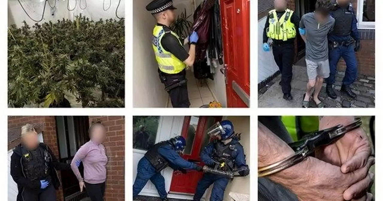 Police smash into homes across Manchester and arrest 12 in dawn raids