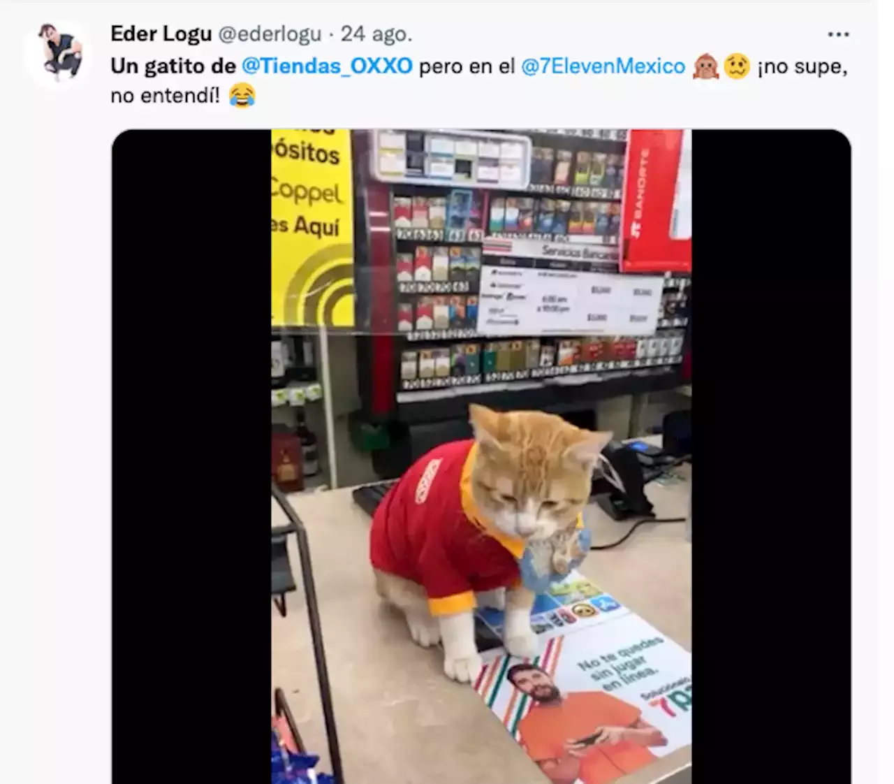 Michi Traicionero Vestido De Oxxo Pero Fiel Empleado De 7 Eleven