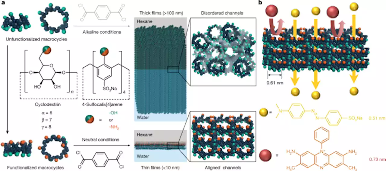 Aligned macrocycle pores in ultrathin films for accurate molecular sieving - Nature