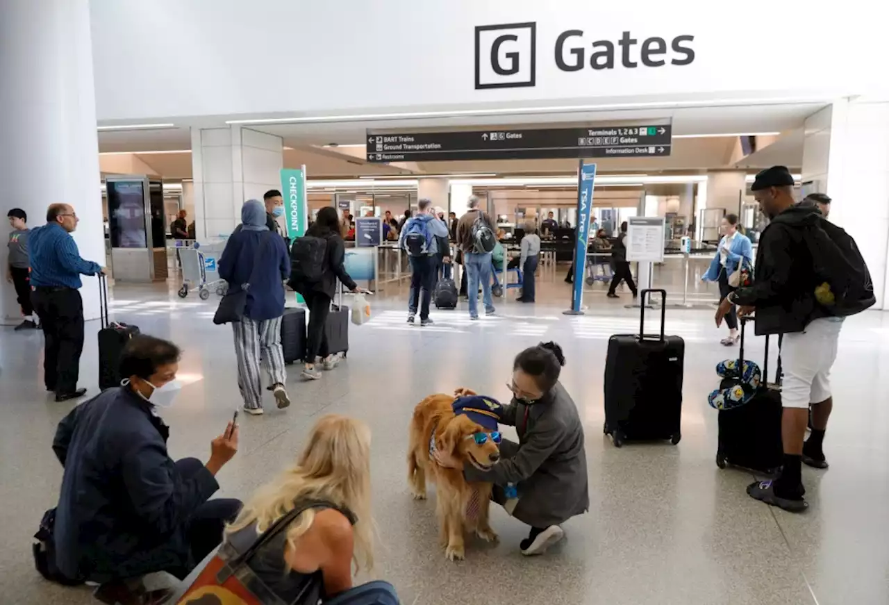 Flying for Labor Day? Here’s how SFO, OAK, and SJC rank