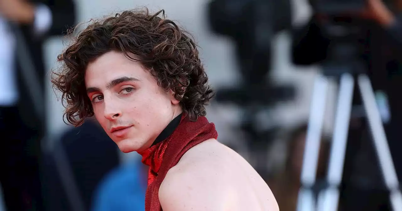 Timothee Chalamet steals the show at Venice in halterneck and red leather