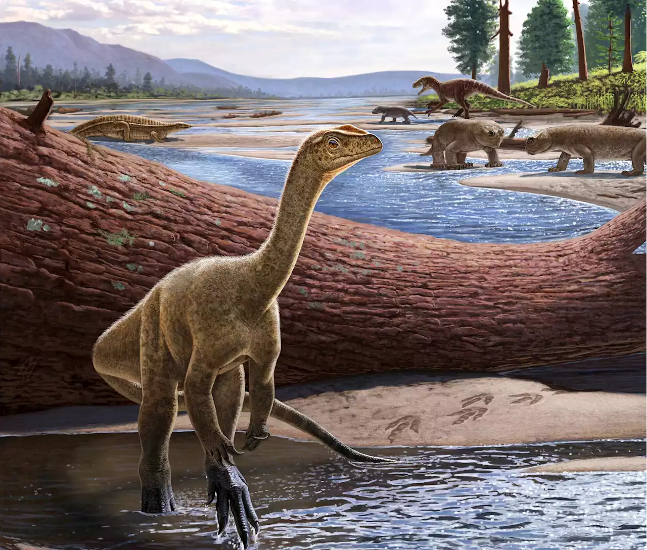 Zimbabwe’s newest dinosaur may be Africa’s oldest