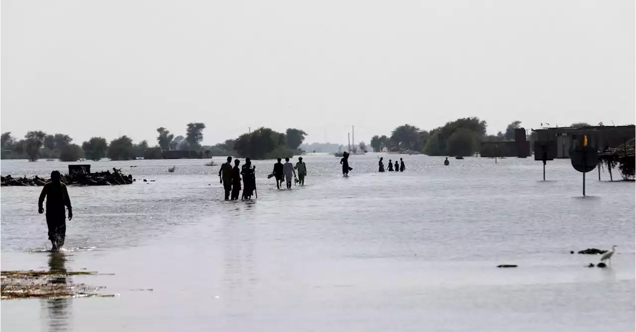 Pakistan's armed forces rescue 2,000 marooned by catastrophic floods