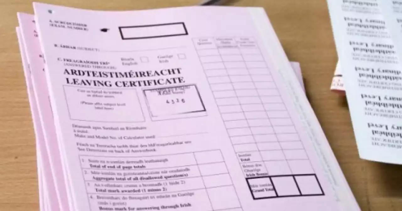 Mental health expert's advice to parents for teens getting Leaving Cert results