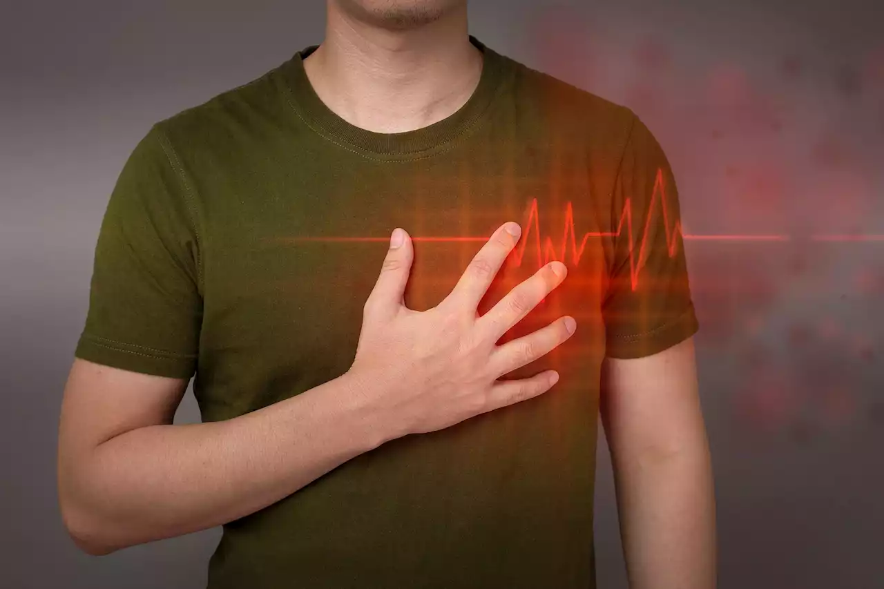 Protect Yourself Against Heart Attack and Stroke – Train Your Blood Vessels