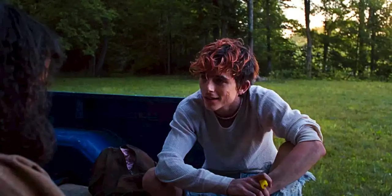 Timothée Chalamet's Cannibal Movie Widely Praised In Bones & All Reviews