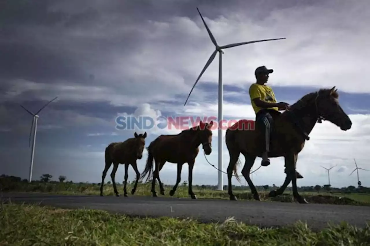 Jalankan Transisi Energi, Indonesia Punya Harta Karun Melimpah