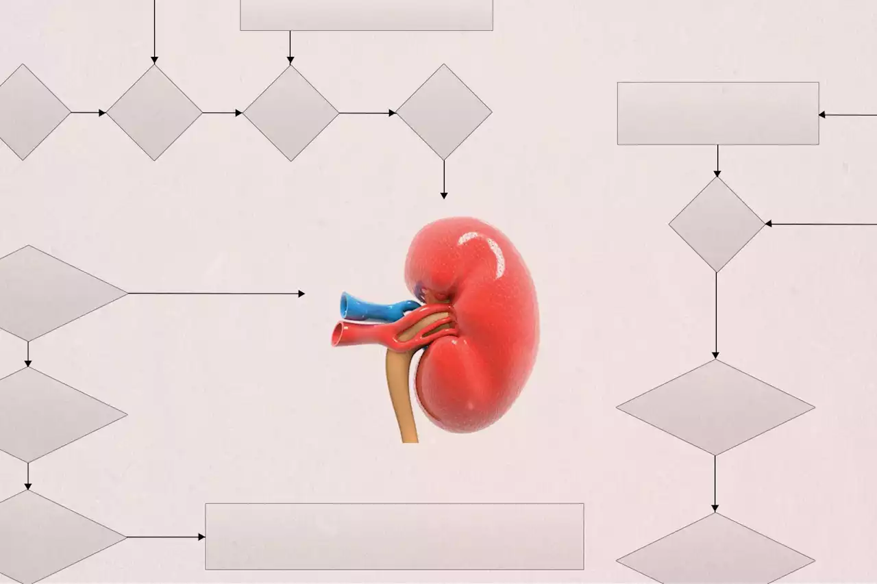 The Kidney Transplant Algorithm’s Surprising Lessons for Ethical A.I.