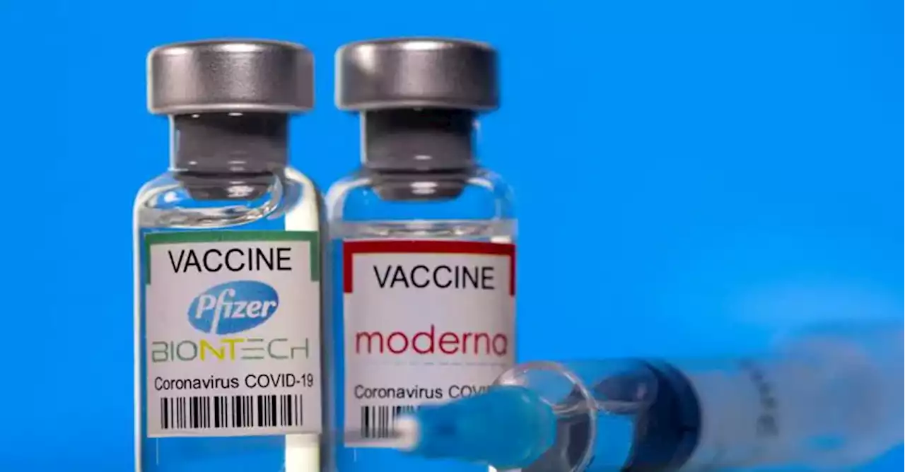 Ecco i vaccini anti varianti, campagna al via dopo metà settembre: prima over 60 e fragili